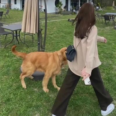 我的僵尸女儿海报